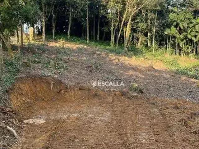Terreno / Lote para Venda em Joinville/SC América