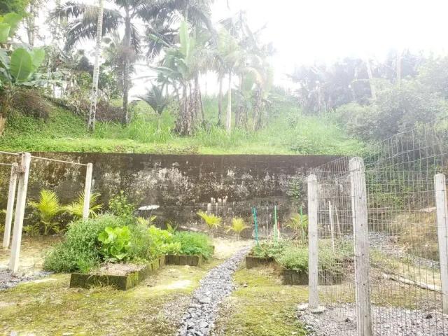 Terreno / Lote para Venda em Joinville/SC Anita Garibaldi