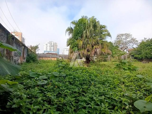 Terreno / Lote para Venda em Joinville/SC Anita Garibaldi