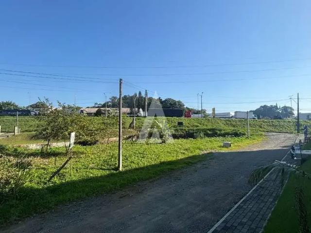 Terreno / Lote para Venda em Joinville/SC Anita Garibaldi
