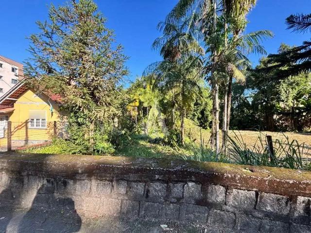 Terreno / Lote para Venda em Joinville/SC Anita Garibaldi