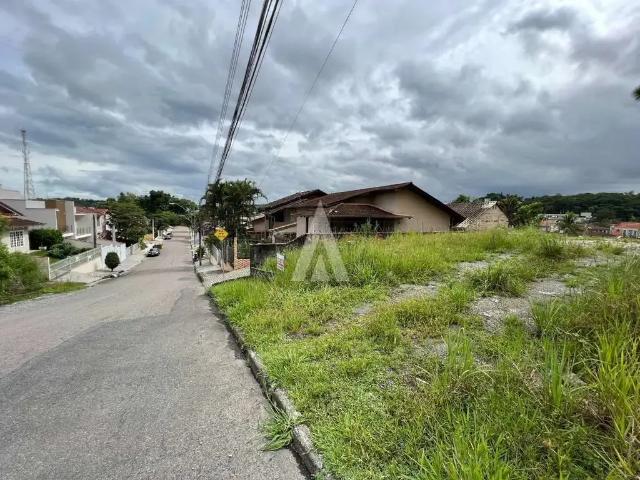 Terreno / Lote para Venda em Joinville/SC Anita Garibaldi