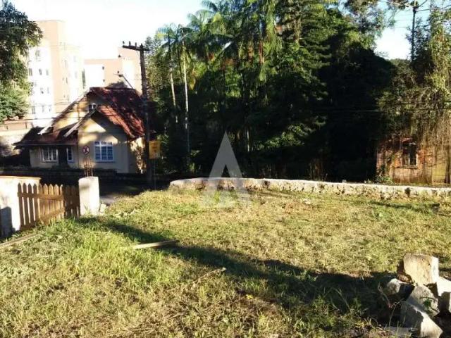 Terreno / Lote para Venda em Joinville/SC Anita Garibaldi