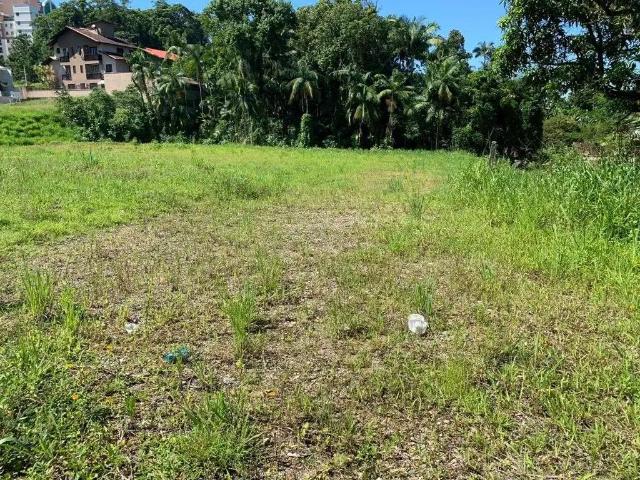 Terreno / Lote para Venda em Joinville/SC Anita Garibaldi