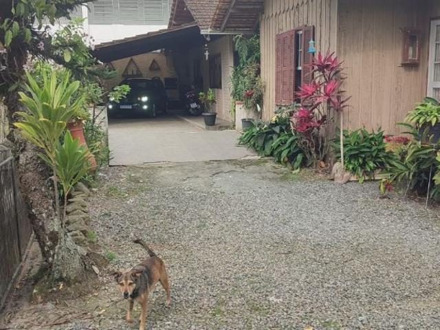 Terreno / Lote para Venda em Joinville/SC Anita Garibaldi