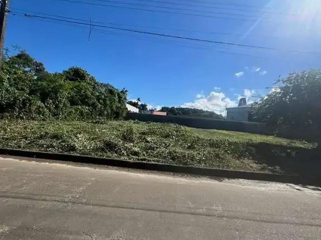 Terreno / Lote para Venda em Joinville/SC Anita Garibaldi