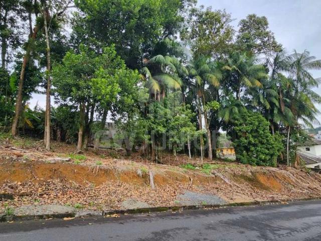 Terreno / Lote para Venda em Joinville/SC Bom Retiro