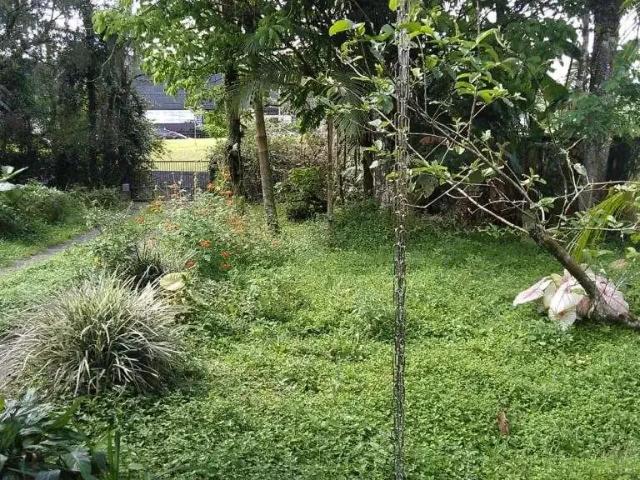 Terreno / Lote para Venda em Joinville/SC Bom Retiro