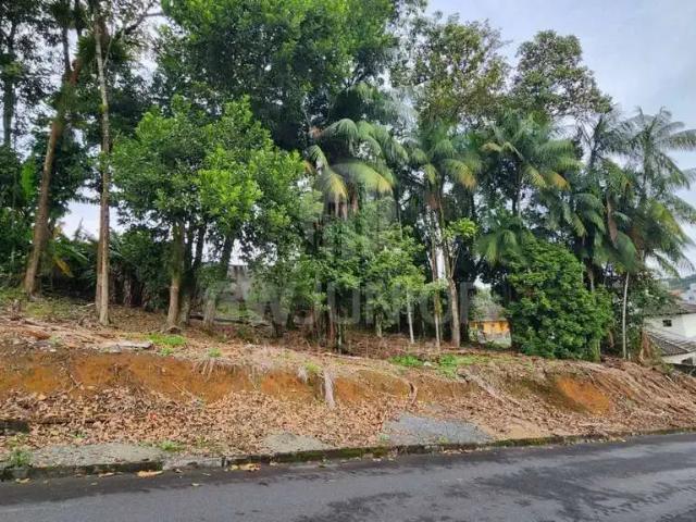 Terreno / Lote para Venda em Joinville/SC Bom Retiro