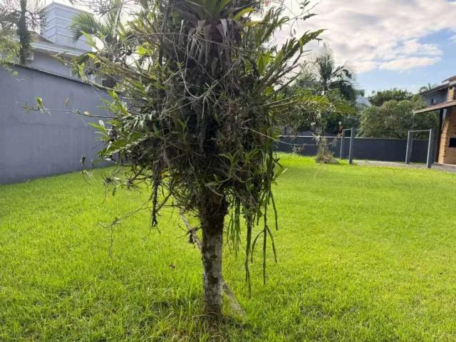 Terreno / Lote para Venda em Joinville/SC Bom Retiro