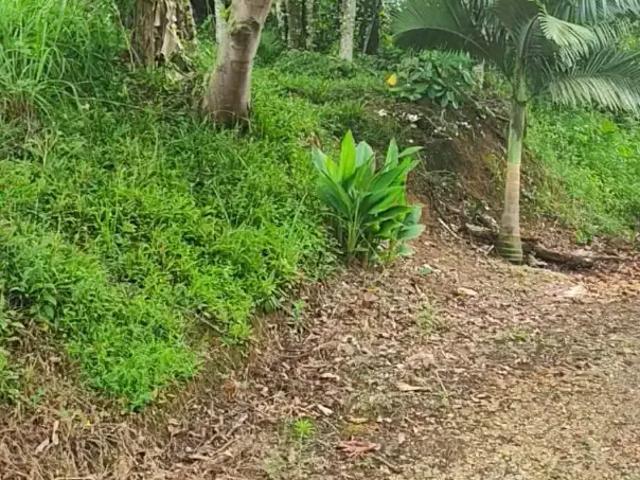 Terreno / Lote para Venda em Joinville/SC Boehmerwald