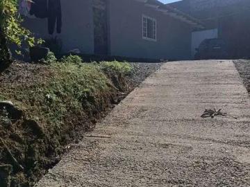 Terreno / Lote para Venda em Joinville/SC Boehmerwald 3 Quartos