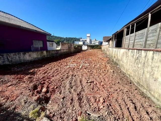 Terreno / Lote para Venda em Joinville/SC Bucarein