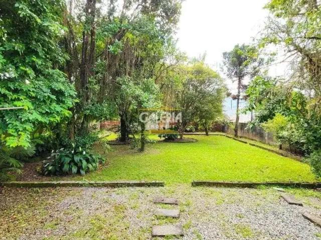 Terreno / Lote para Venda em Joinville/SC Bucarein