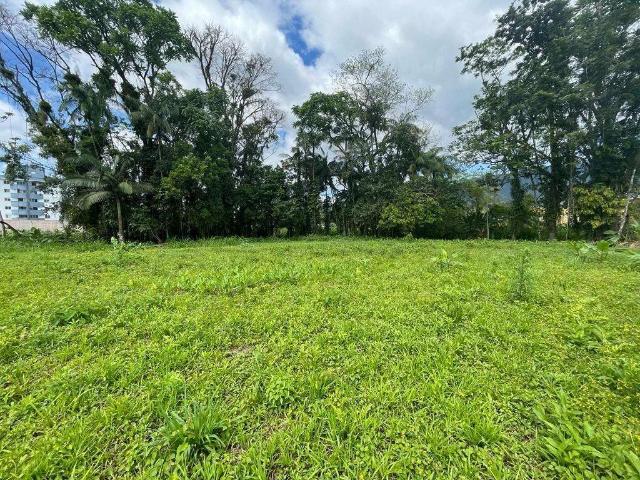 Terreno / Lote para Venda em Joinville/SC Centro
