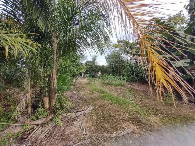 Terreno / Lote para Venda em Joinville/SC Centro