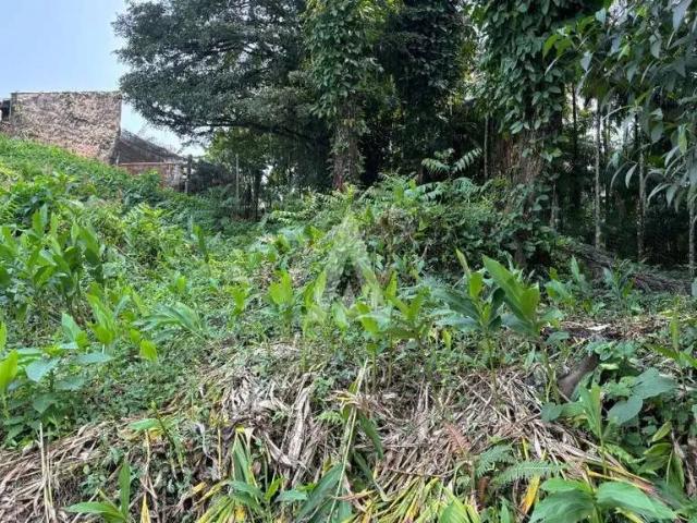 Terreno / Lote para Venda em Joinville/SC Costa e Silva