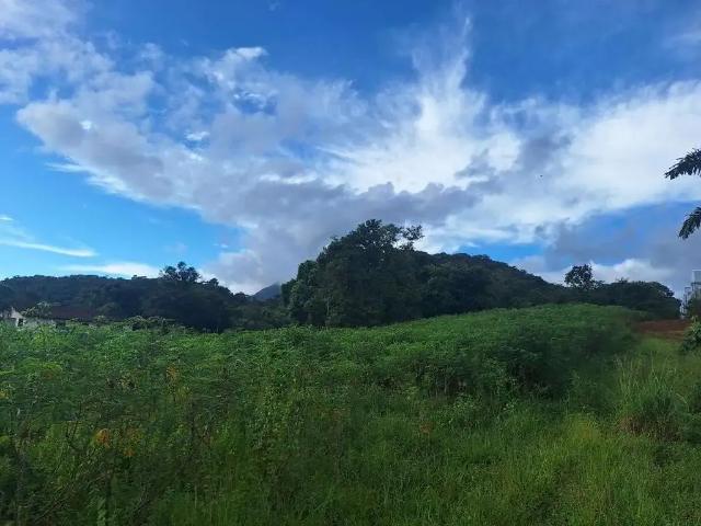 Terreno / Lote para Venda em Joinville/SC Dona Francisca