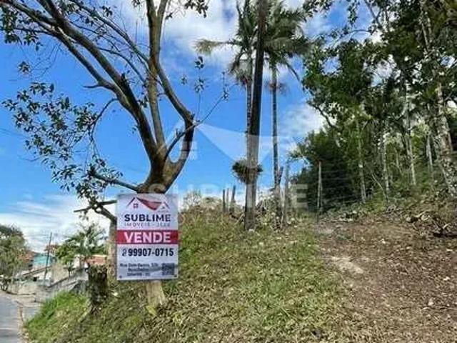 Terreno / Lote para Venda em Joinville/SC Floresta