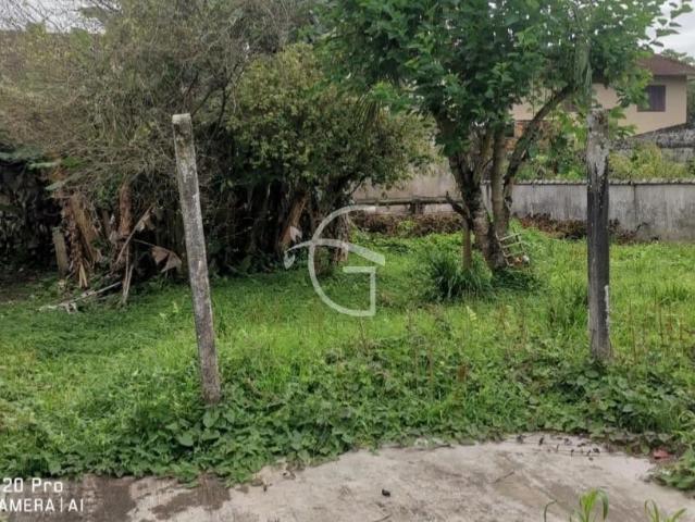 Terreno / Lote para Venda em Joinville/SC Floresta