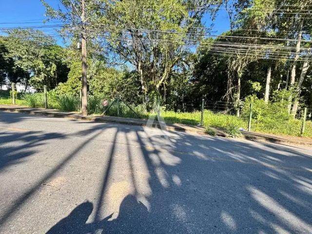 Terreno / Lote para Venda em Joinville/SC Floresta