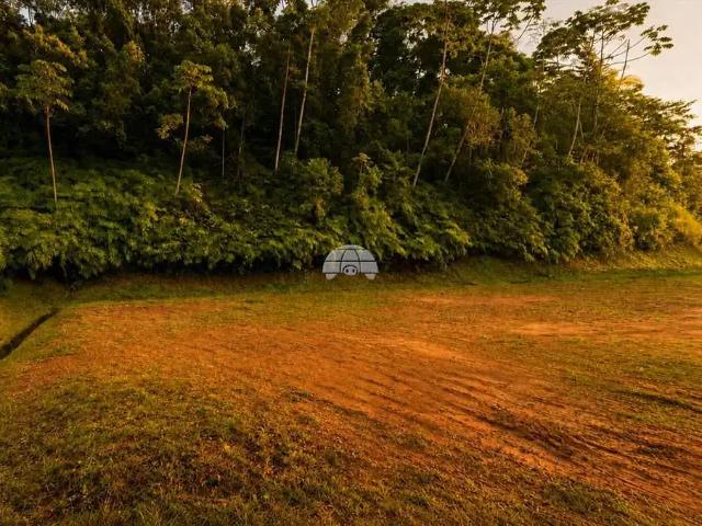 Terreno / Lote para Venda em Joinville/SC Floresta
