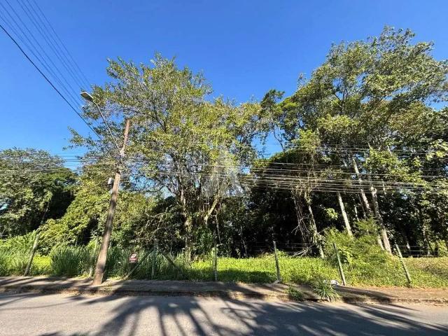 Terreno / Lote para Venda em Joinville/SC Floresta