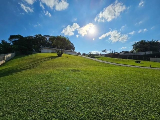 Terreno / Lote para Venda em Joinville/SC Floresta