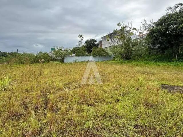 Terreno / Lote para Venda em Joinville/SC Floresta