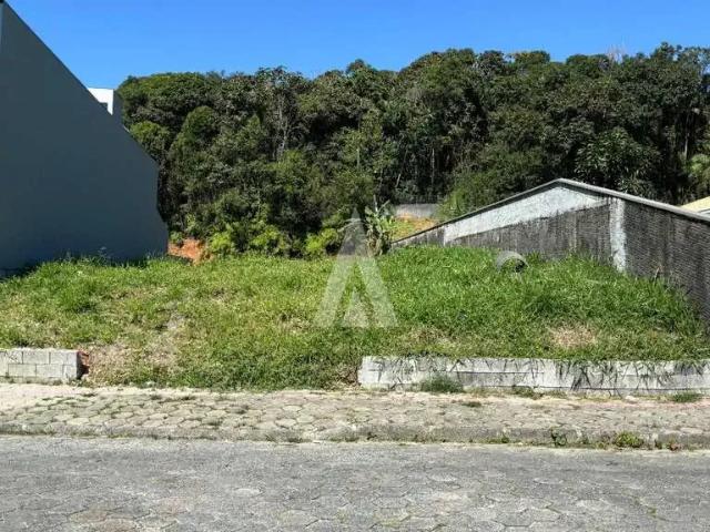 Terreno / Lote para Venda em Joinville/SC Floresta