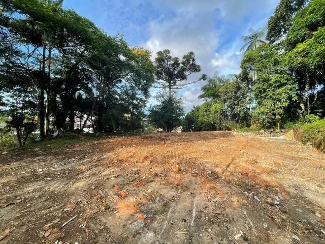 Terreno / Lote para Venda em Joinville/SC Floresta