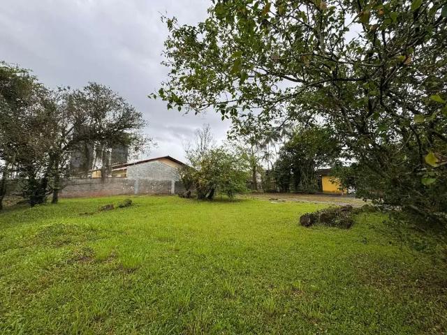 Terreno / Lote para Venda em Joinville/SC Floresta