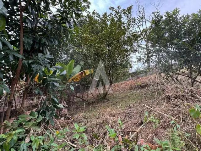 Terreno / Lote para Venda em Joinville/SC Floresta