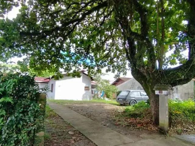 Terreno / Lote para Venda em Joinville/SC Floresta