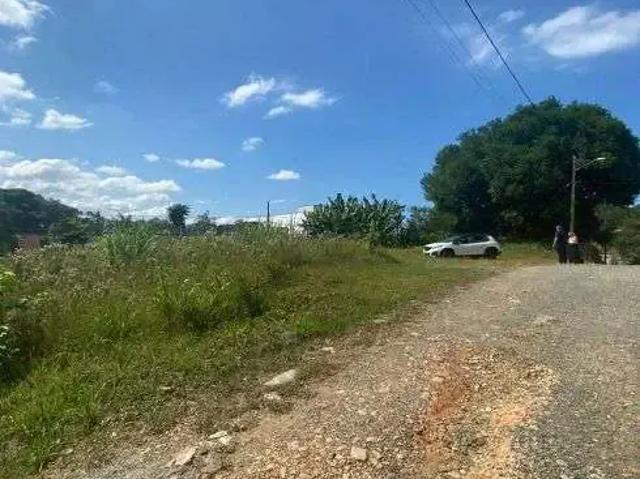 Terreno / Lote para Venda em Joinville/SC Floresta