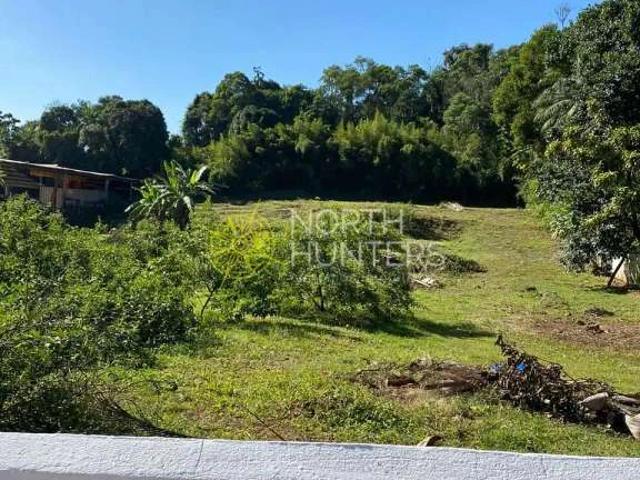 Terreno / Lote para Venda em Joinville/SC Floresta