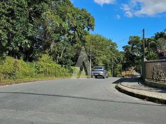 Terreno / Lote para Venda em Joinville/SC Floresta