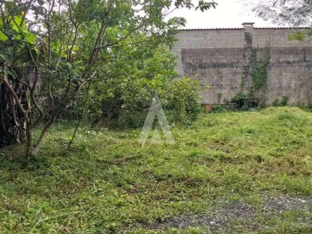 Terreno / Lote para Venda em Joinville/SC Floresta