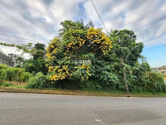 Terreno / Lote para Venda em Joinville/SC Floresta