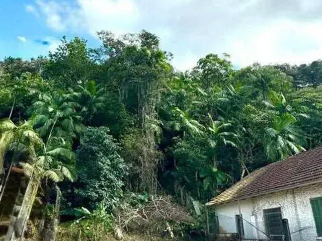 Terreno / Lote para Venda em Joinville/SC Glória