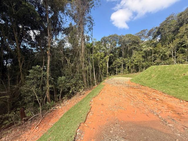 Terreno / Lote para Venda em Joinville/SC Glória