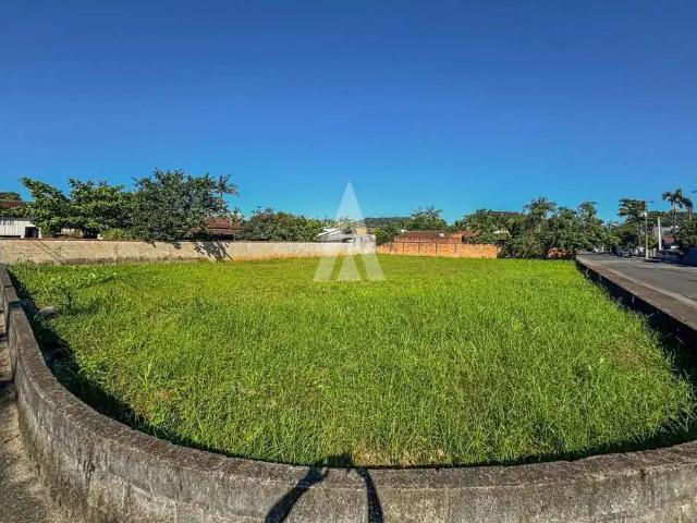 Terreno / Lote para Venda em Joinville/SC Glória