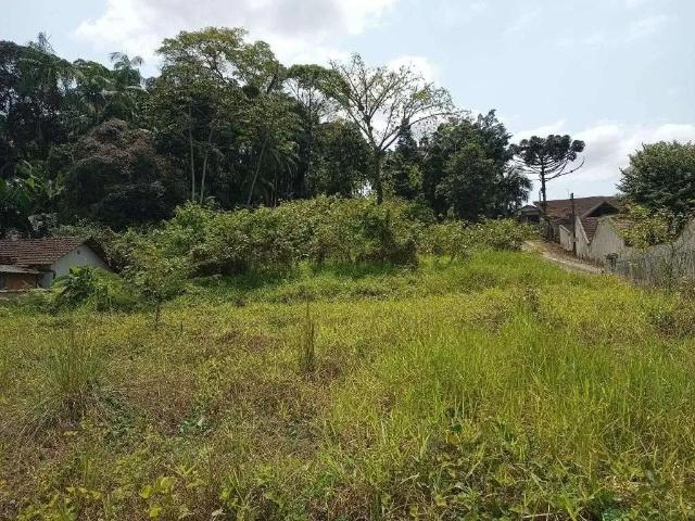 Terreno / Lote para Venda em Joinville/SC Glória