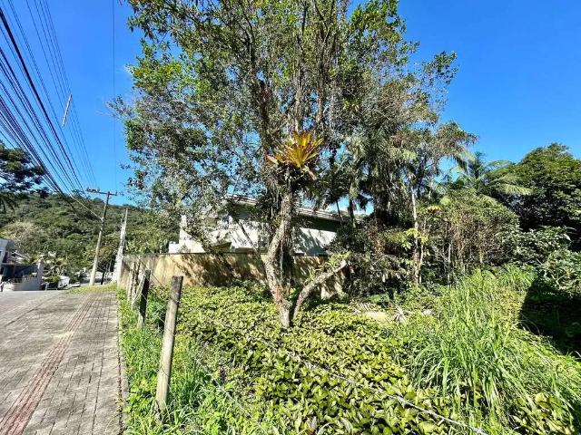 Terreno / Lote para Venda em Joinville/SC Glória