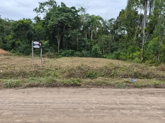 Terreno / Lote para Venda em Joinville/SC Glória