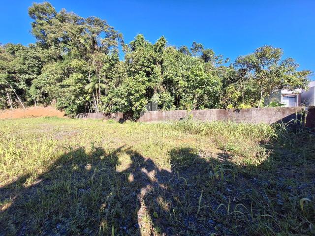 Terreno / Lote para Venda em Joinville/SC Glória