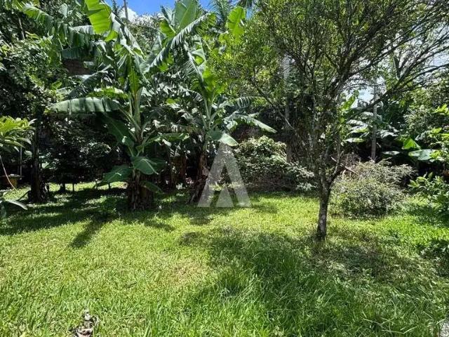 Terreno / Lote para Venda em Joinville/SC Guanabara