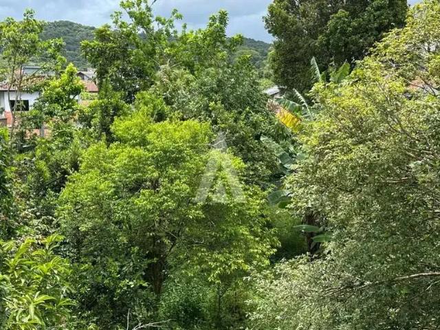 Terreno / Lote para Venda em Joinville/SC Iririú