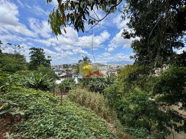Terreno / Lote para Venda em Joinville/SC Iririú