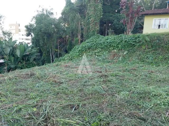 Terreno / Lote para Venda em Joinville/SC Iririú